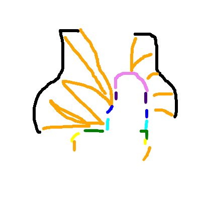 medsal15