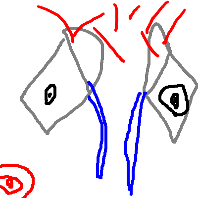 2018-03/39_20180301-214340.png