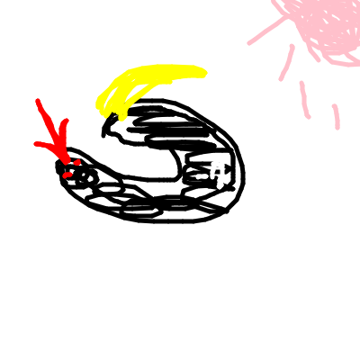 2019-12/36_20191202-175419.png