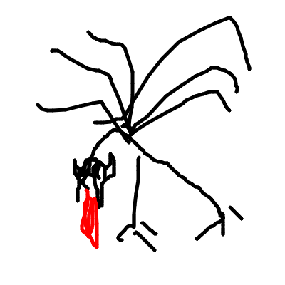 2020-06/28_20200623-200438.png