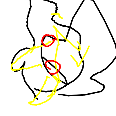2021-11/6_20211129-232230.png