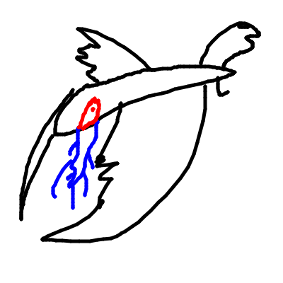 25