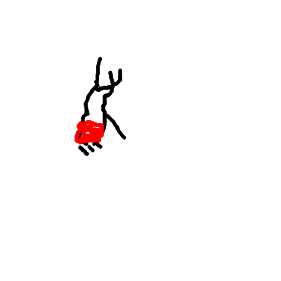 2024-08/54_20240829-165122.png